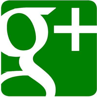 Google plus logo, nr.2704, afmeting: 22mm x 22mm
